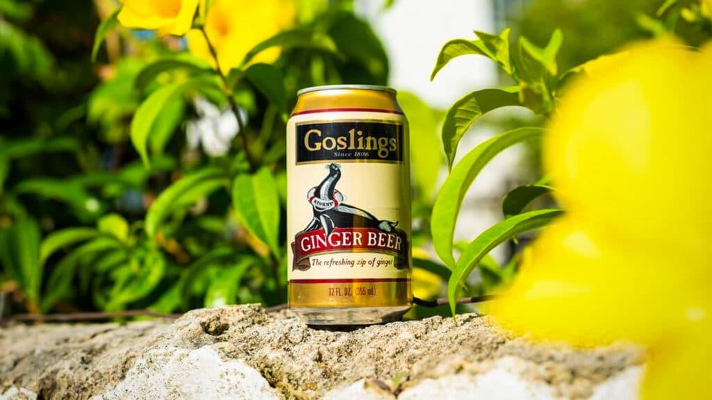GOSLINGS STORMY GINGER BEER-SINGLE